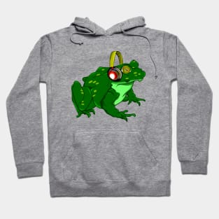 Funny Frog Listening To Music Hoodie